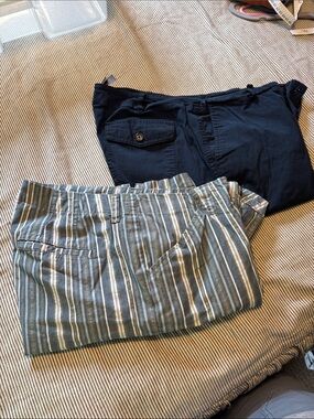 Lee Women's Navy and Striped Chinos